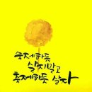 축제노래연습장 이미지