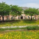 거북 경로당 이미지