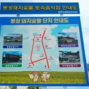 봉성장 네이버블로그