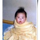 머리깍자 이미지