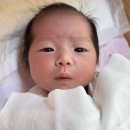 정관6어린이집 | 산후조리원 고르는 꿀팁 및 후기