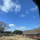 에코랜드 이미지