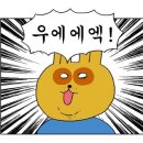 동촌아쿠아수영장 이미지