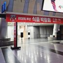 2025 부산 차·공예 박람회 &amp; 식품 박람회 후기