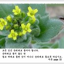 순리대로 이미지