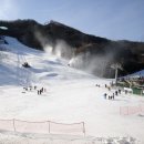 스타힐리조트