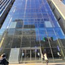 오퍼스407 이미지