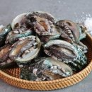 보물바다 이미지