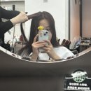동대구카클리닉 | 동대구역 미용실 SF 헤어 염색+두피클리닉 후기