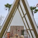 댕그라운드 이미지