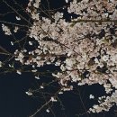도담약국 | 운이 좋았지