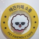 소풍애견미용 이미지