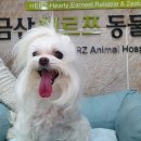 친친동물병원 이미지