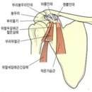 온몸을 이용한 스윙 이미지