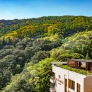 포레스트리솜 이미지