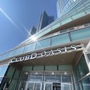 디 오아시 이미지