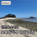 세대공감바다음악제 | 소야도 트레킹 여행 모세의 기적 바다갈라짐 갓섬 인천섬 추천