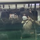 220113 | 대구 여행 🎡