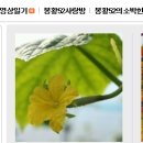 봉황한우농장 이미지