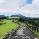 과원동로 이미지