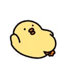 로얄명품세탁 이미지