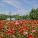 금은농장 이미지