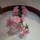 세종 오즈 네이버블로그