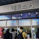 비발디렌통령 이미지