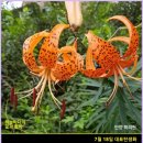 부부사랑