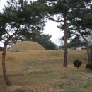 순흥안씨양도공파묘군 이미지