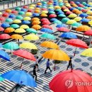 그늘막21 이미지