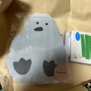 세이호 | 호즈미 럭키박스 크리스마스 선물로 좋은 세이호 럭키박스 구매 후기 (내돈내산)