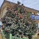 하임마르펜션 이미지