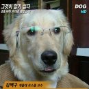 예