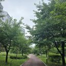 미라클태권도장 이미지