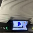 25년 2월 정동진 비치크루즈 겨울 온수풀 다녀온 후기