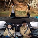 메이비 카카오 검색결과