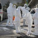 동남농장4 이미지