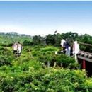 ㈜오렌지렌트카 이미지