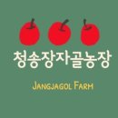 장자골 농장 이미지