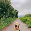 지에스25 춘천 낭만점 이미지