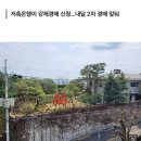 현대가 3세&#39; 정대선 소유 성북동 대지·고급빌라 경매 넘어가 이미지