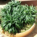 광호농장 이미지