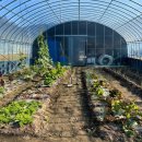 새늘농원 이미지