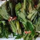 오길농장 이미지