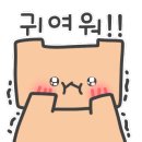 카츠오도 이미지