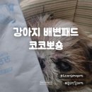 코코 - 남구 중앙로241번길 16 | 흡수력 좋은 강아지배변패드 추천! 3초흡수 코코뽀숑 후기
