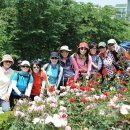 장미공원A 이미지