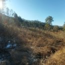 무릉도원면-34 이미지