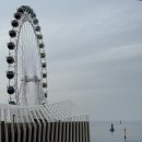 모어댄속초 | 속초해수욕장 숙소 모어댄 속초해변점 내돈내산 후기